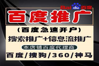 SEM服务案例：提升品牌曝光